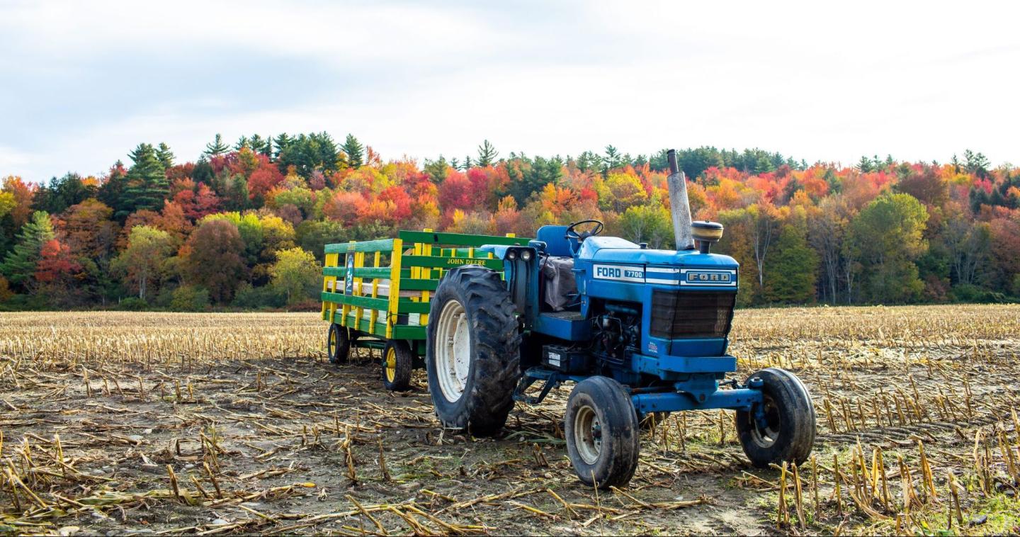 6 Tips for Planning Your Visit to Stowe Next Fall