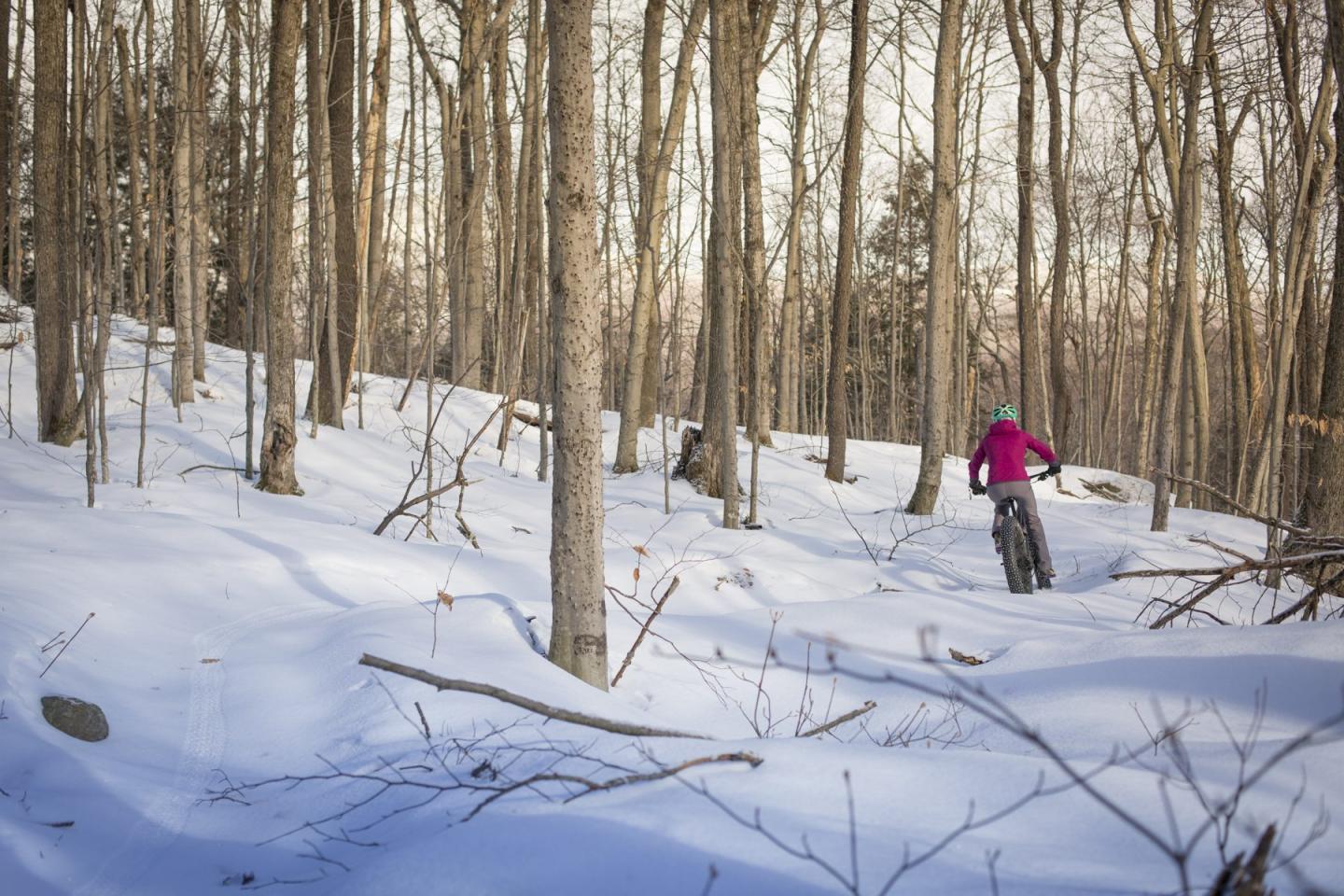 10 Reasons to Start Fatbiking in Stowe