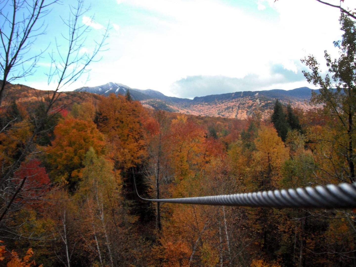 ArborTrek Canopy Adventures