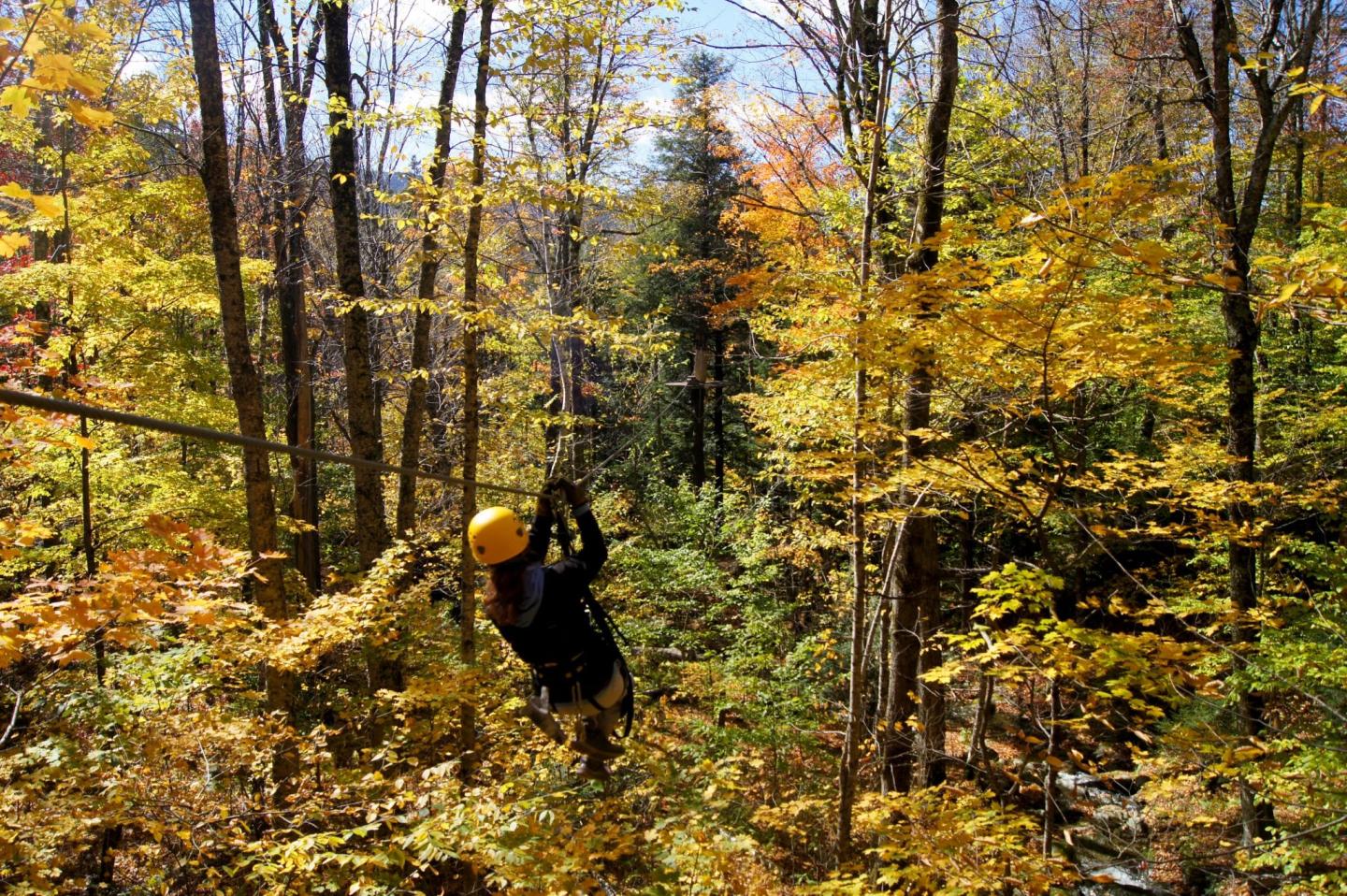 ArborTrek Canopy Adventures