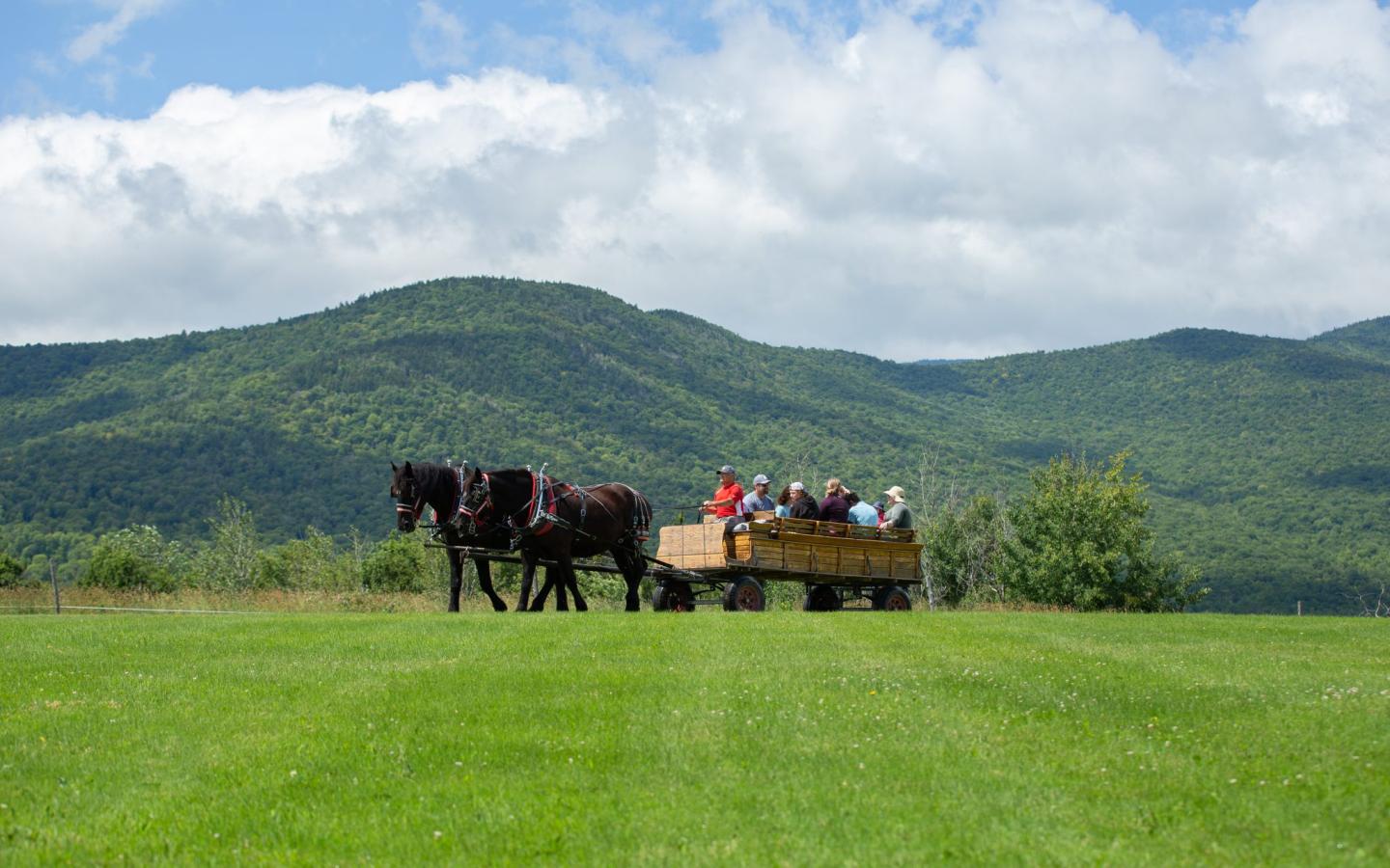 Trapp Family Lodge