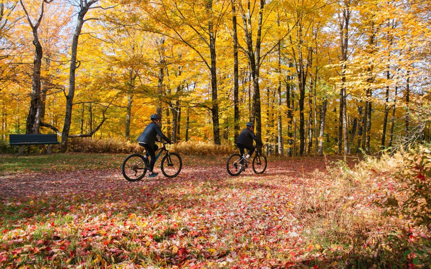 Mountain Bike Lessons & Rentals at Trapp Family Lodge
