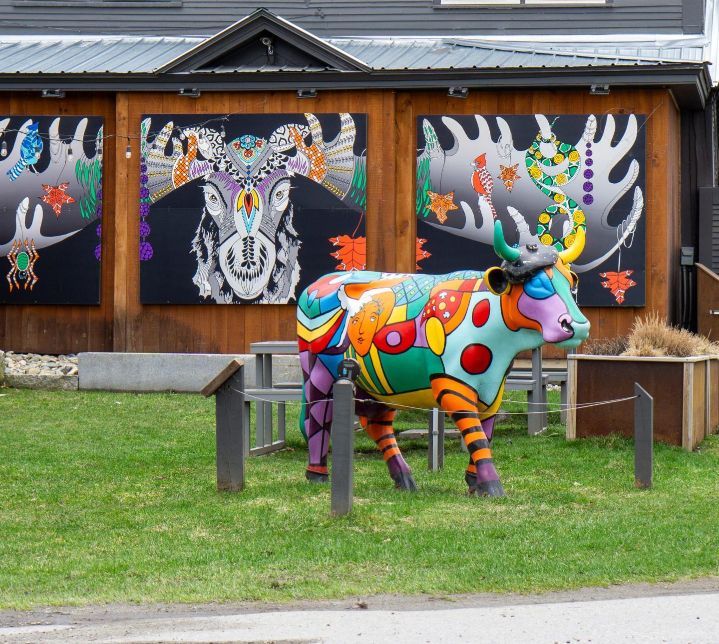 Piecasso Family Pizzeria