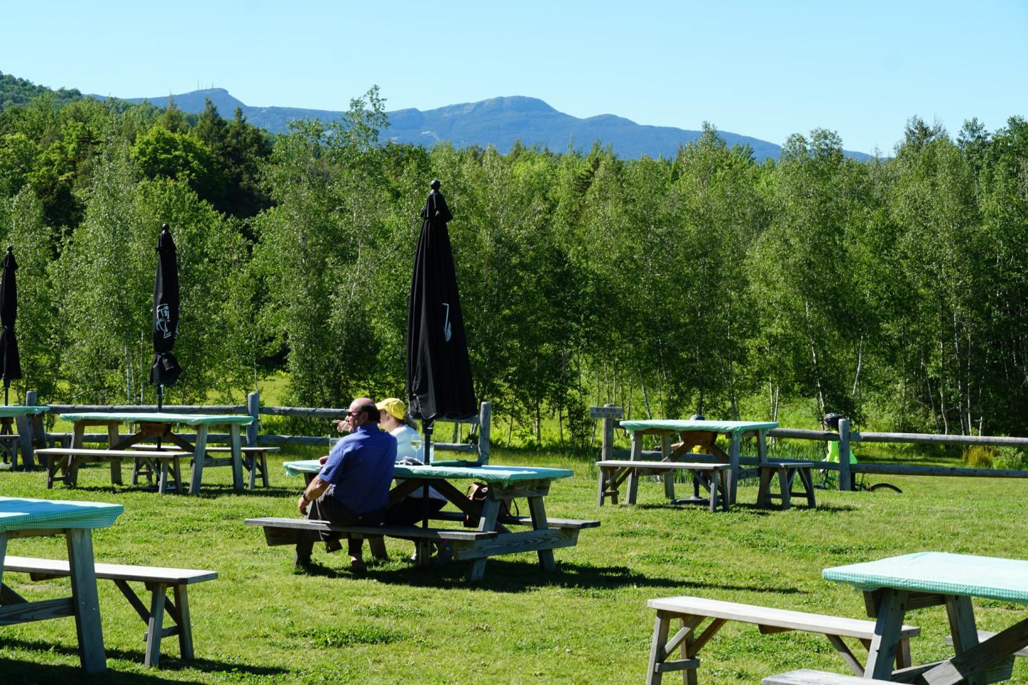 Perfect Picnic Spots in Stowe