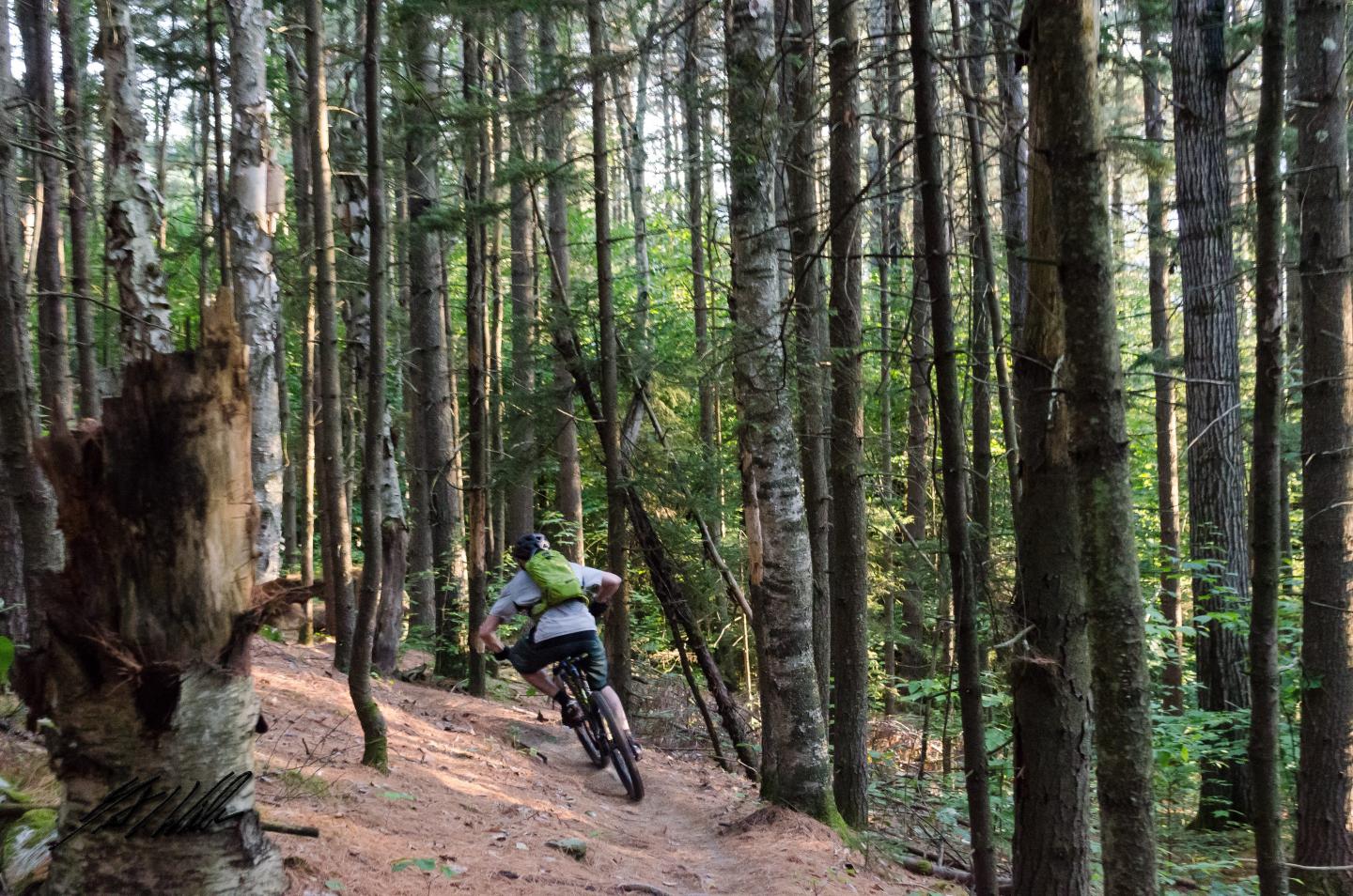 4 Points Tours: Mountain Biking