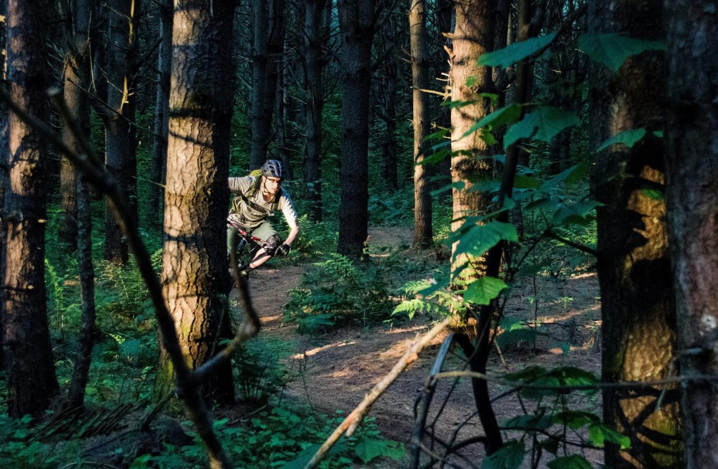 4 Points Tours: Mountain Biking