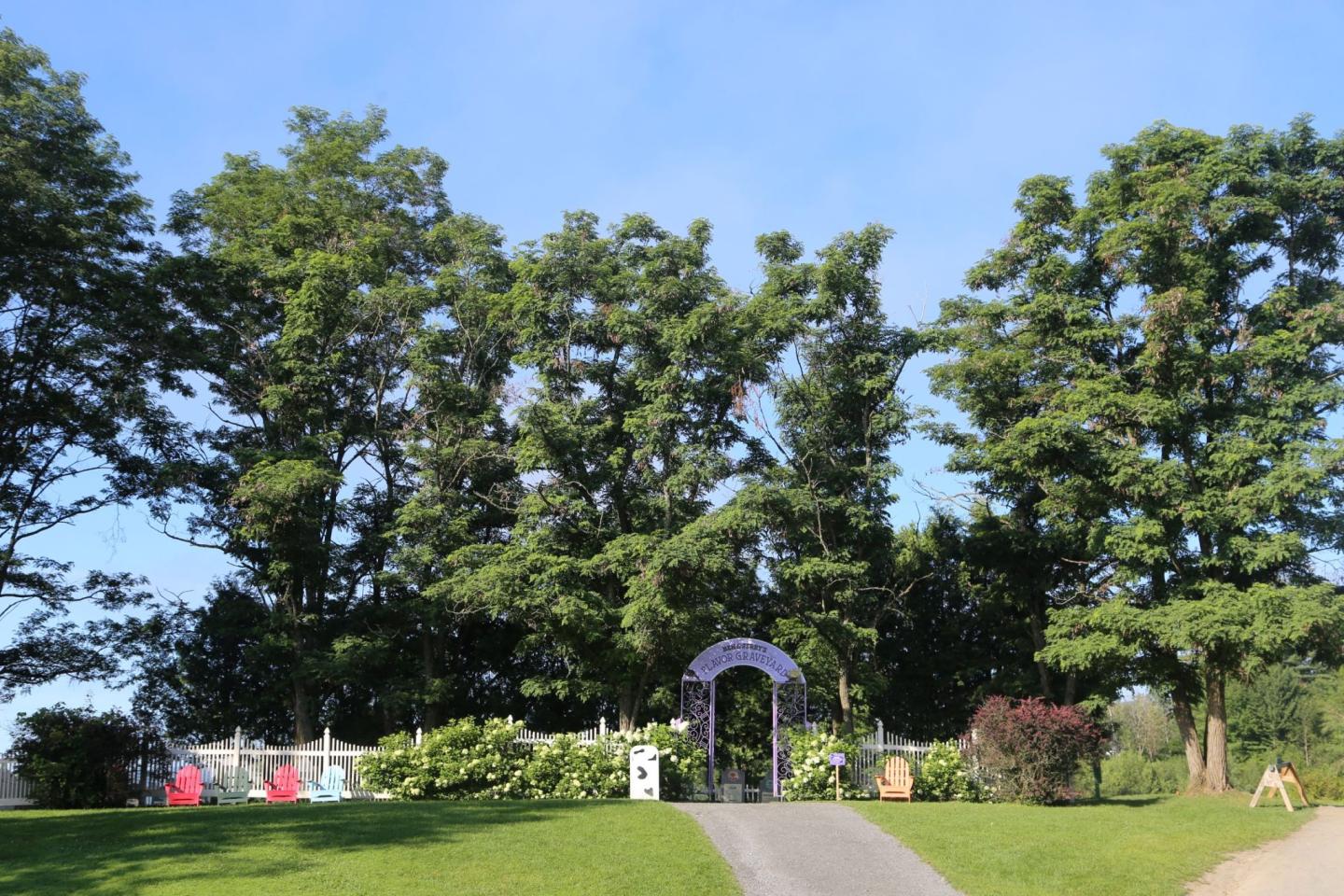 Ben & Jerry's Factory