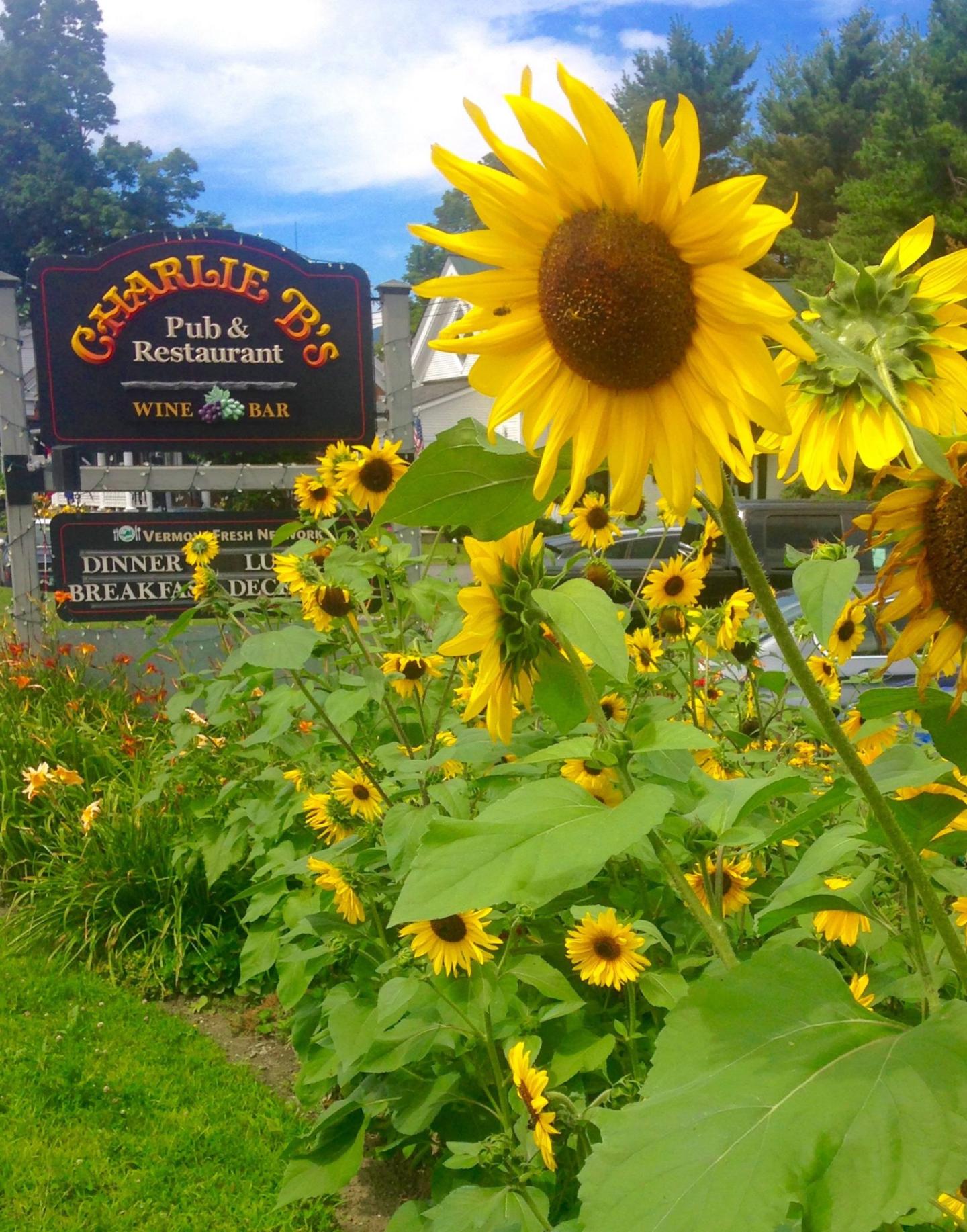 Stoweflake Mountain Resort & Spa