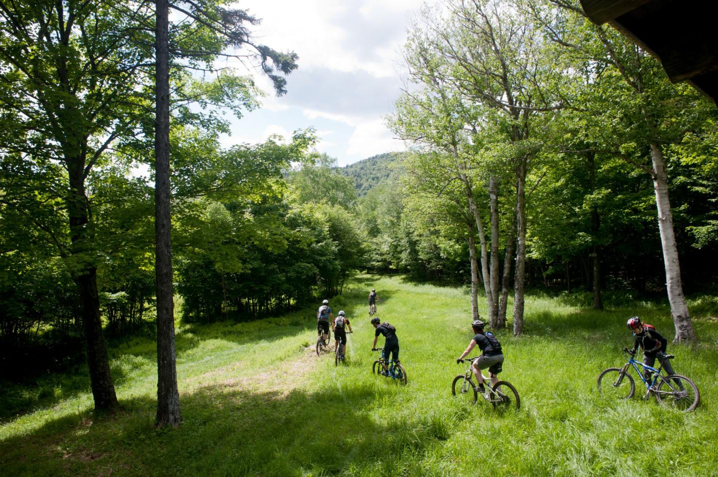 Top 3 Places to Mountain Bike in Stowe