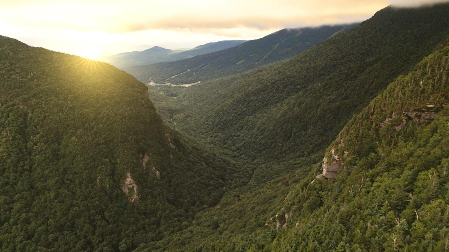 Experience Summer in the Green Mountains