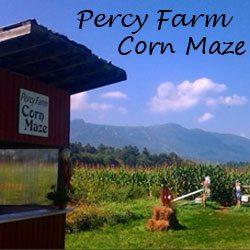Percy Farm Corn Maze