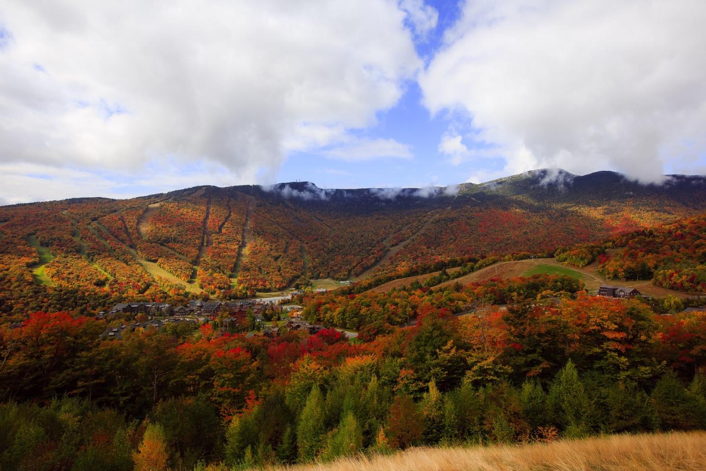 Stowe Mountain Resort