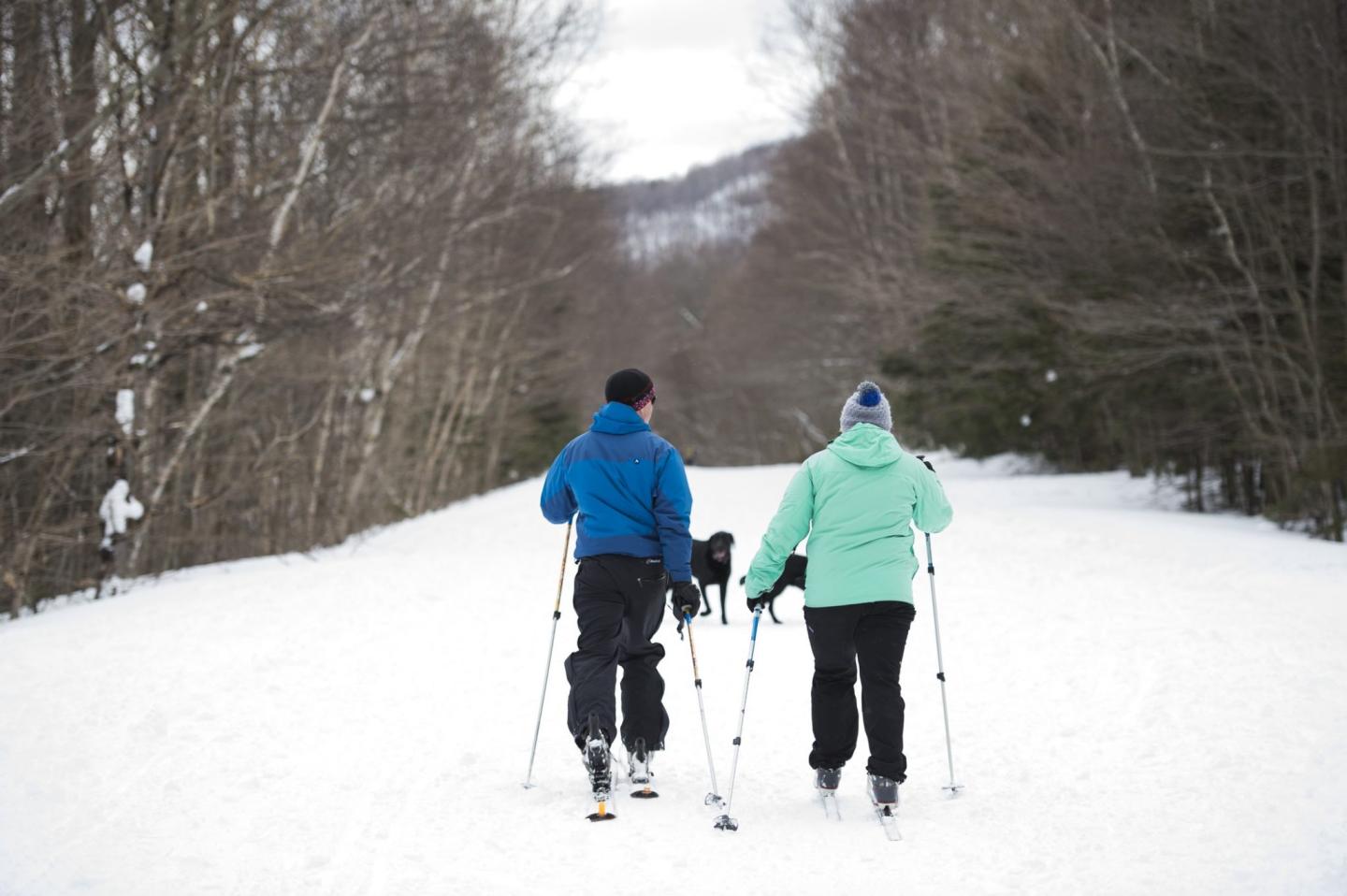 5 Favorite Cross-Country Ski Trails in Stowe, Vermont