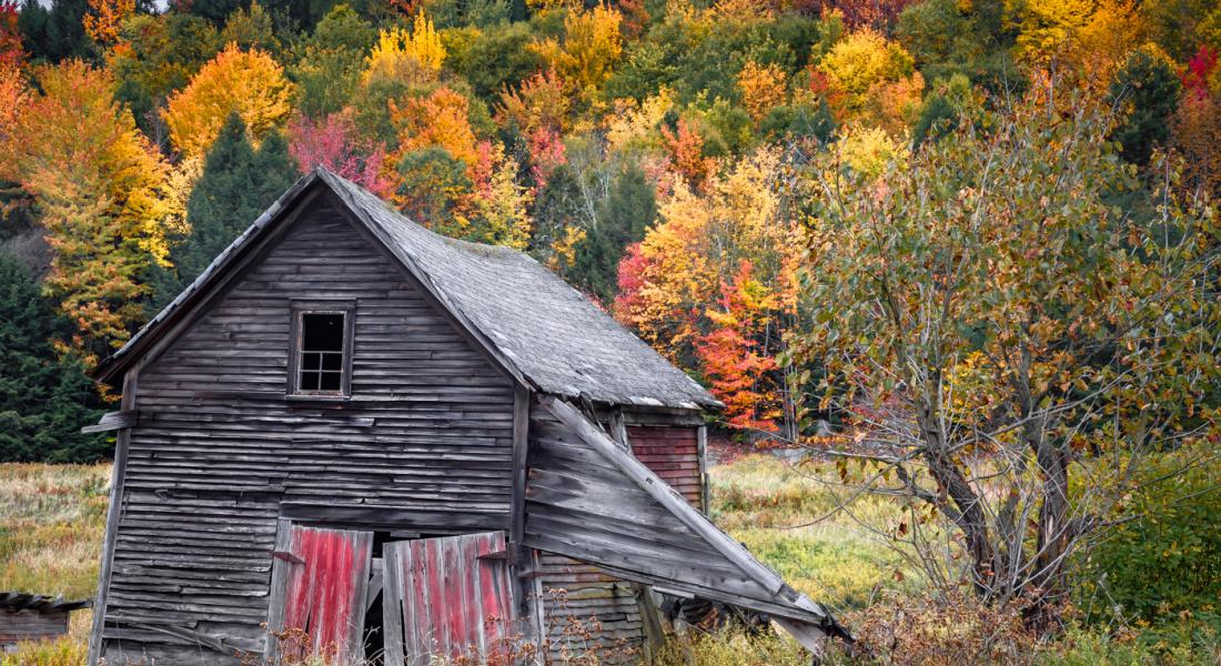 Stowe Fall Foliage Facts & FAQs