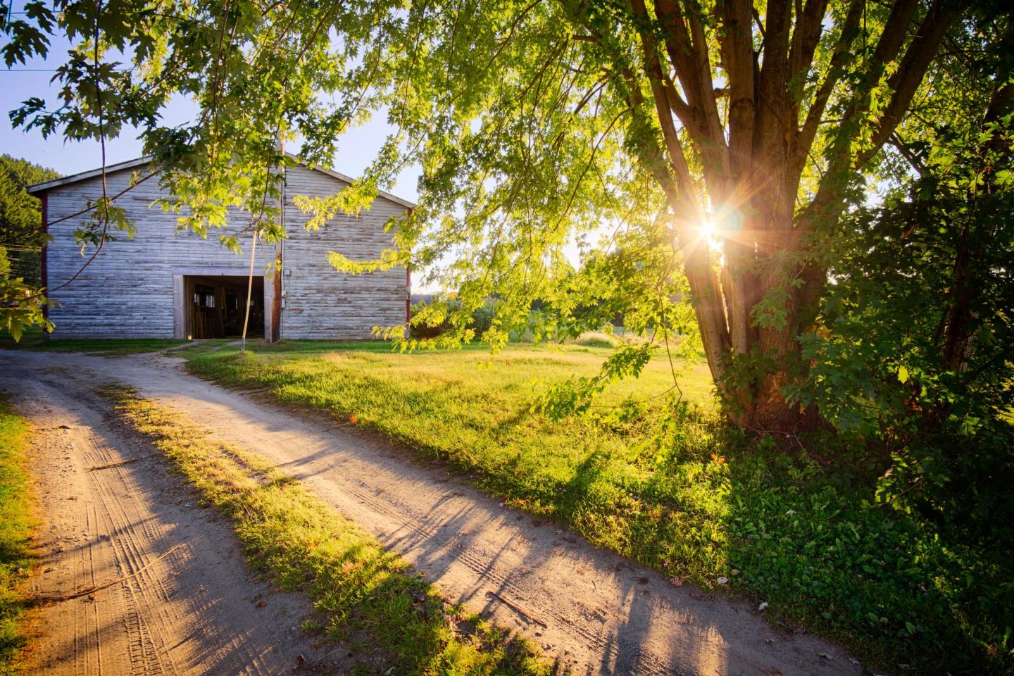 7 Ways to Explore Stowe on a Guided Tour