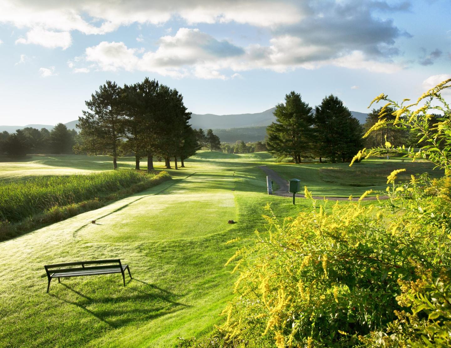 Stowe Country Club