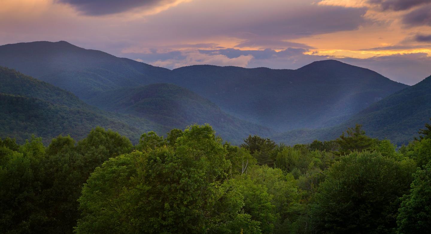 Stowe Businesses Go Straw-Free to Help Protect Environment