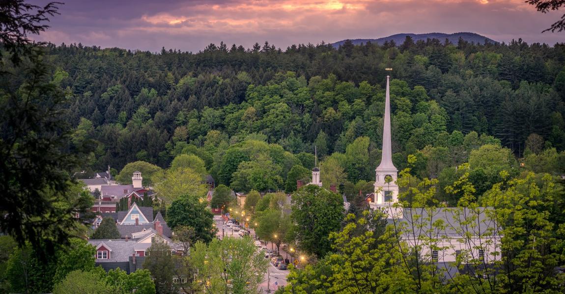 Ways You Can Support Stowe Businesses From Home