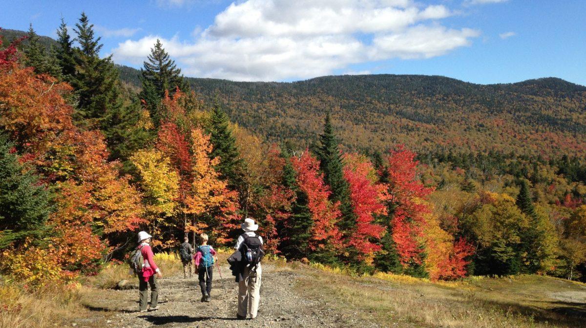 サンドラズマウンテン Sunrise Mountain Guides | Things to Do in Stowe, Vermont | VT