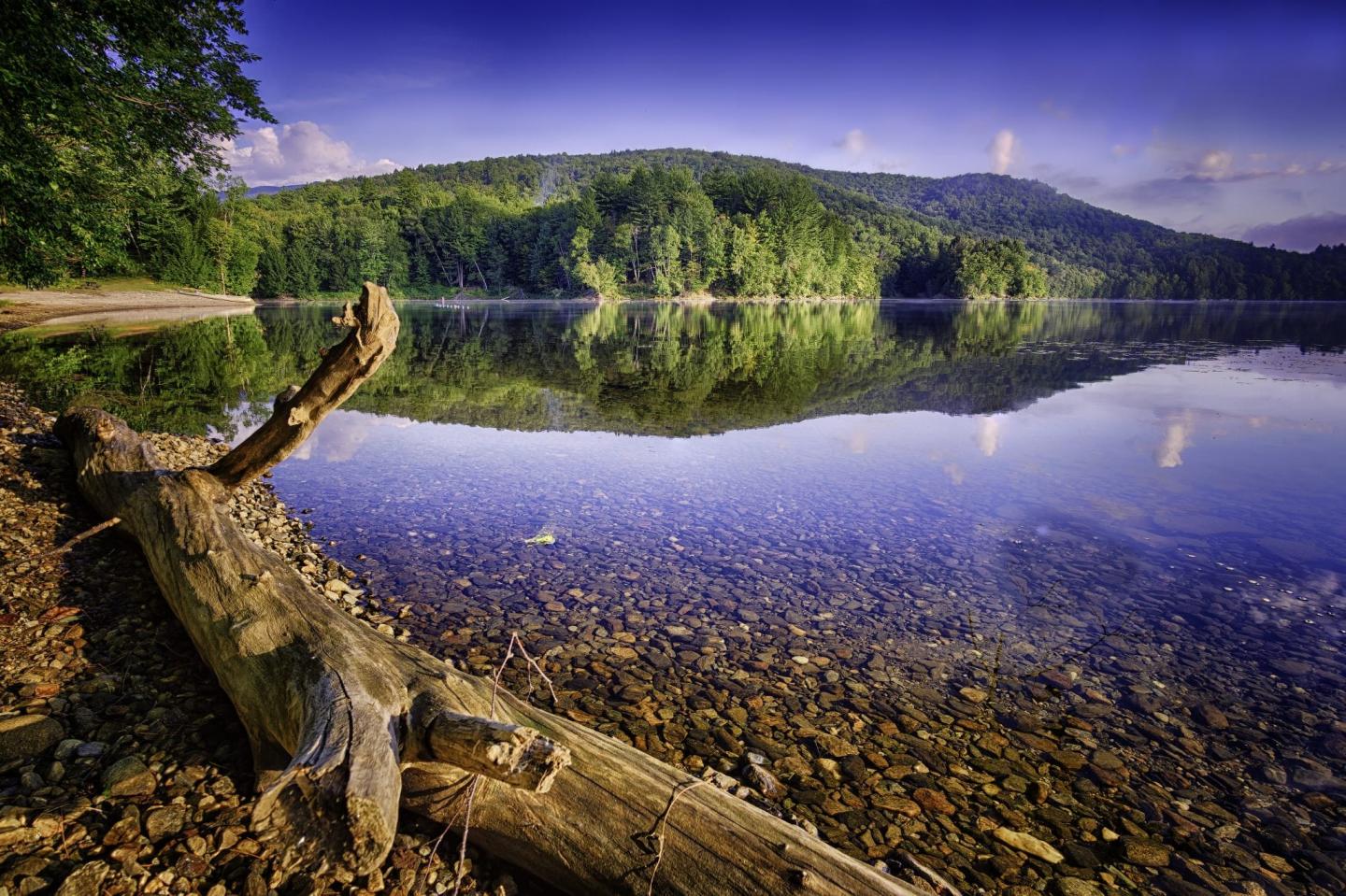 5 Swimming Spots That Keep Stowe Cool