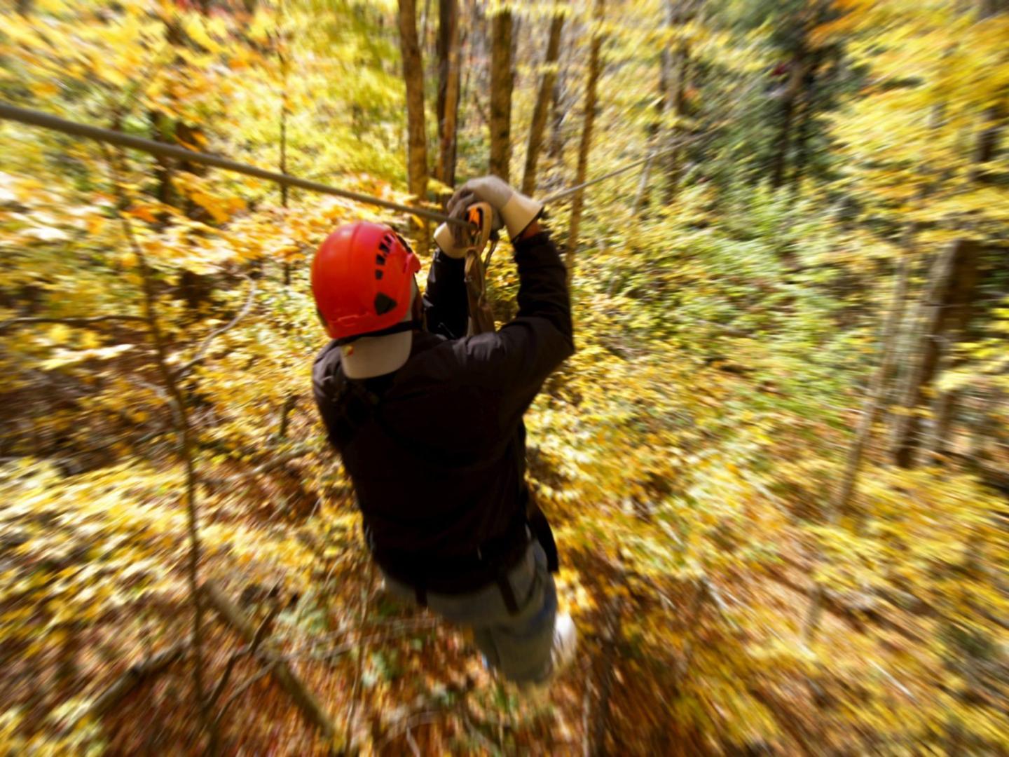ArborTrek Canopy Adventures