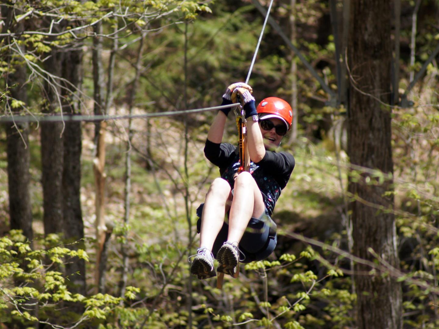 ArborTrek Canopy Adventures