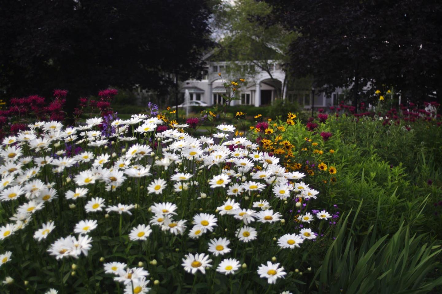 Stoweflake Mountain Resort & Spa