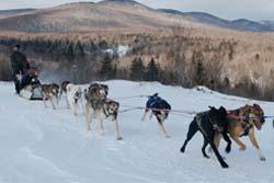 Eden Ethical Dogsledding