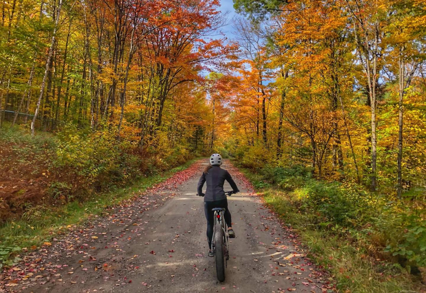 LVBT: Rail Trail Ebike Tours & Bike Shuttle Service