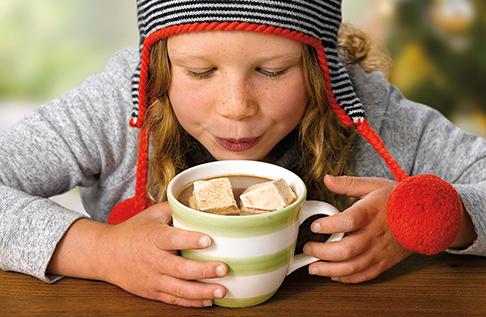 Lake Champlain Chocolates