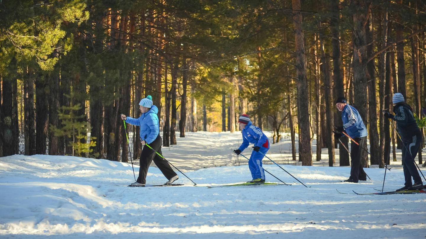 The Road Not Taken: Uncover the Wonder of Stowe's Backcountry