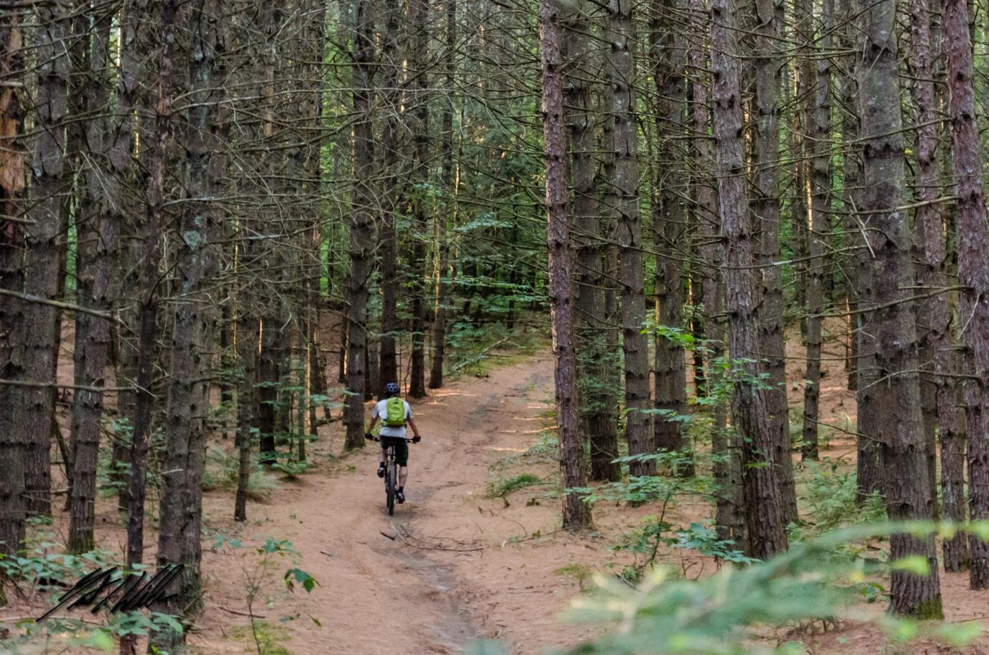 4 Points Tours: Mountain Biking