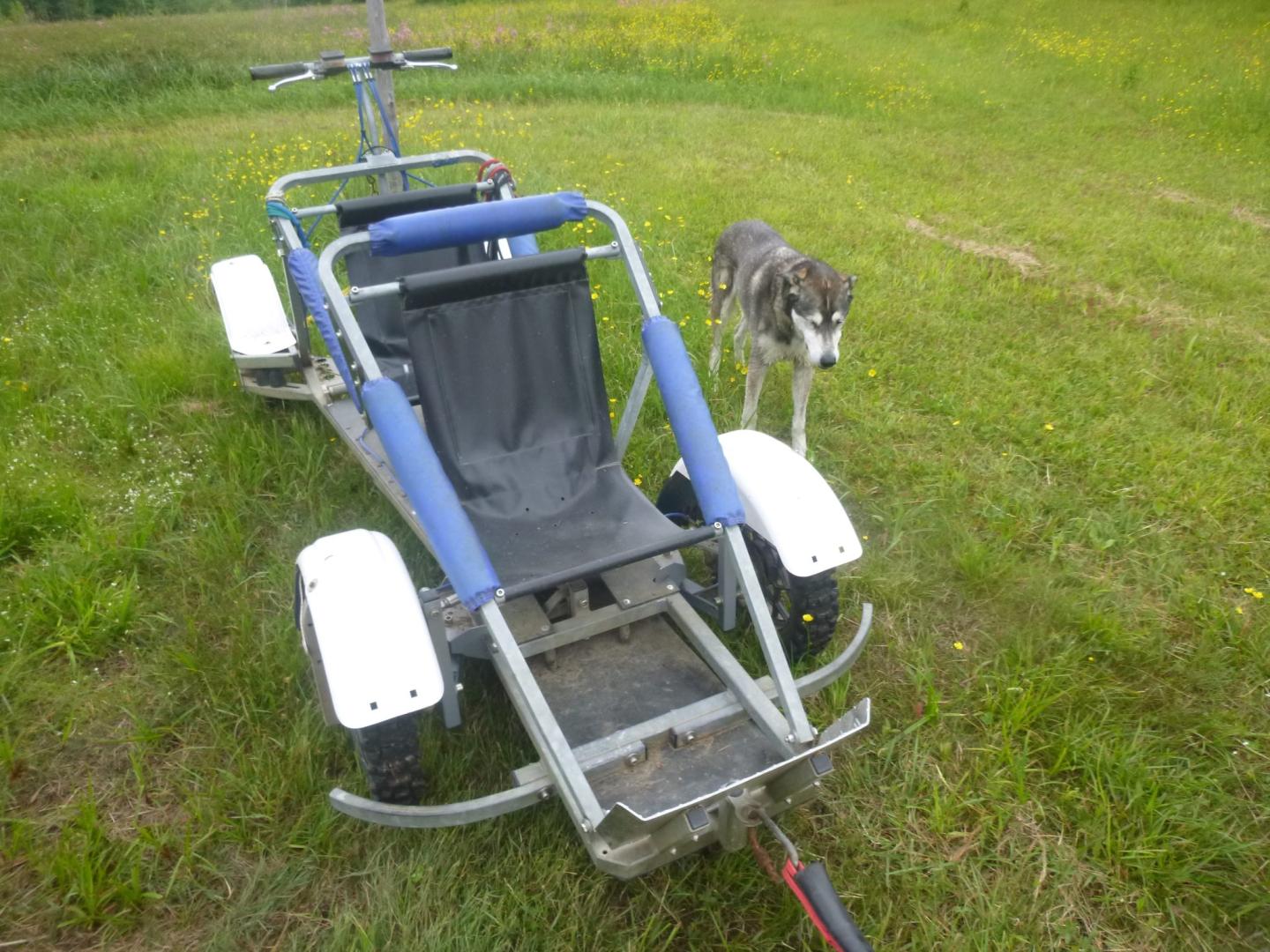 Eden Ethical Dogsledding