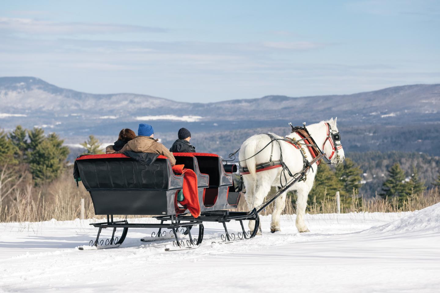 Horse-drawn sleigh with passengers in snowy landscape.