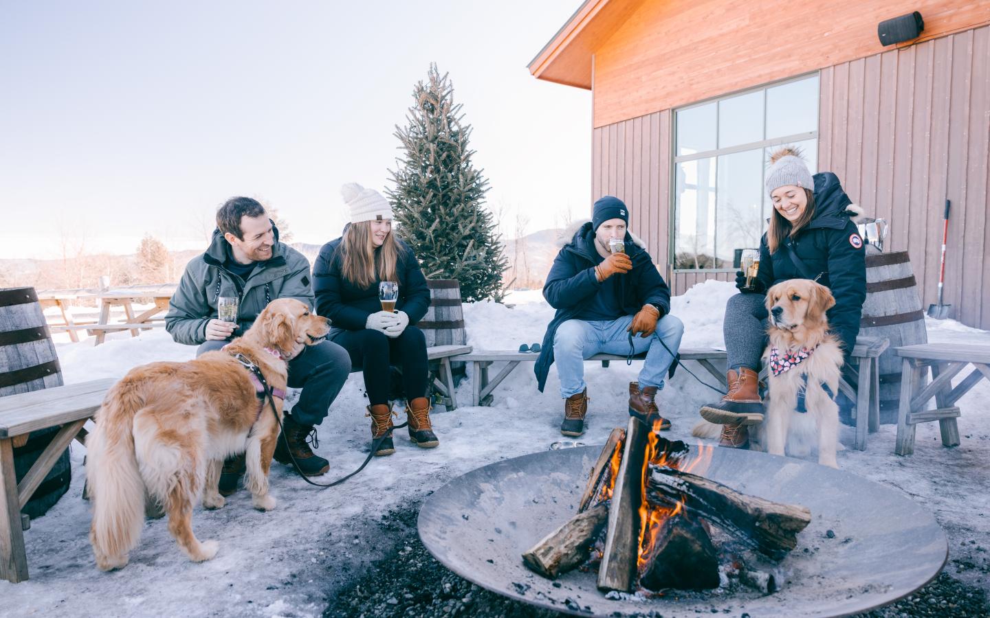 People sitting by a snowy outdoor firepit with two dogs.