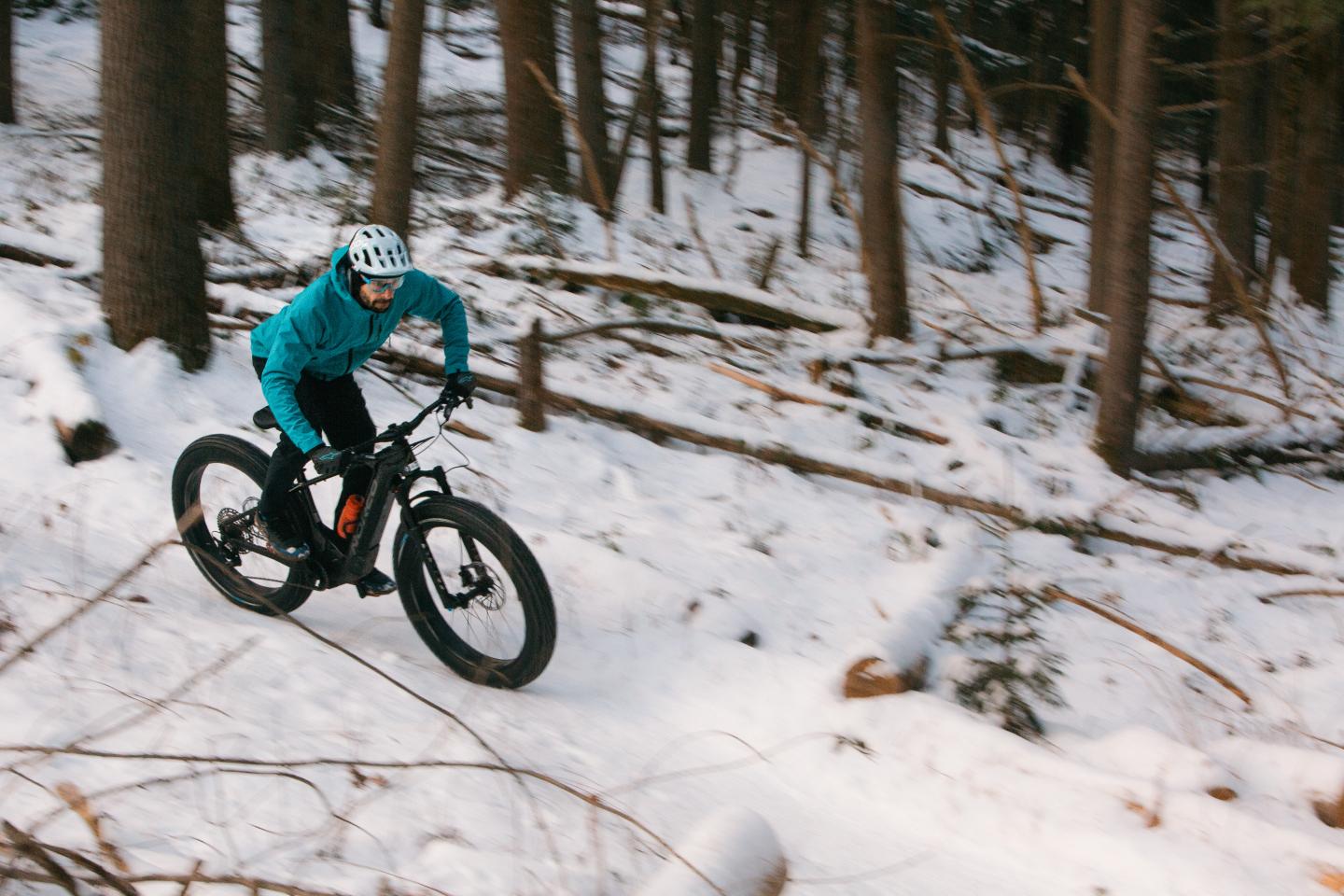Cyclist on a fat bike riding through snow in a forest.
