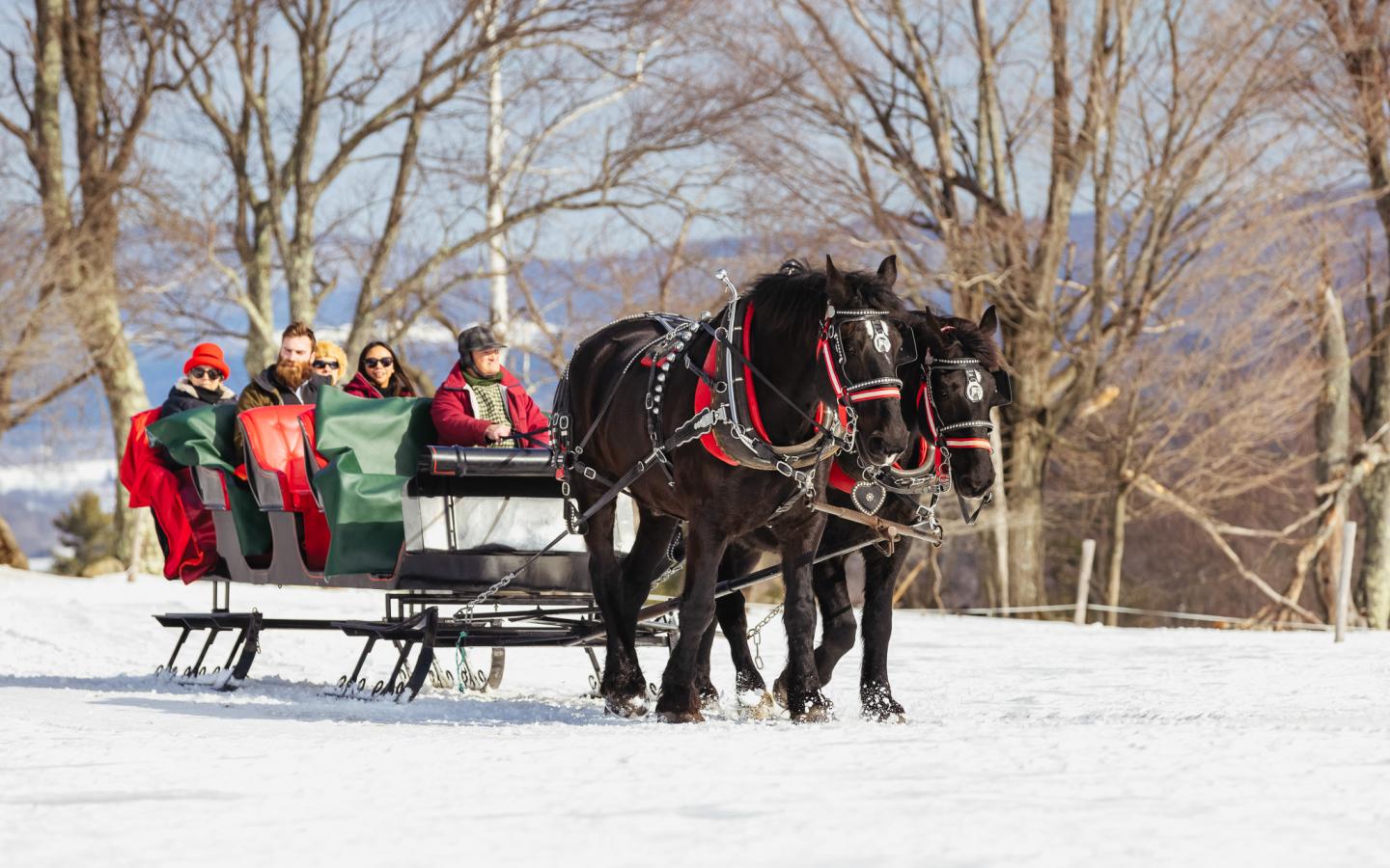 Horse-drawn sleigh with passengers on snowy path, surrounded by bare trees.