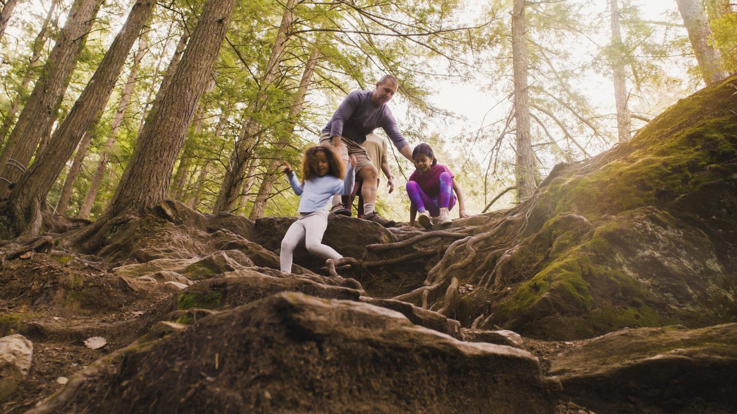 Family hiking down a forest trail with exposed tree roots.