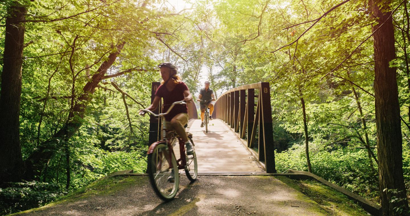 Person cycling on a sunlit forest bridge, surrounded by green trees.