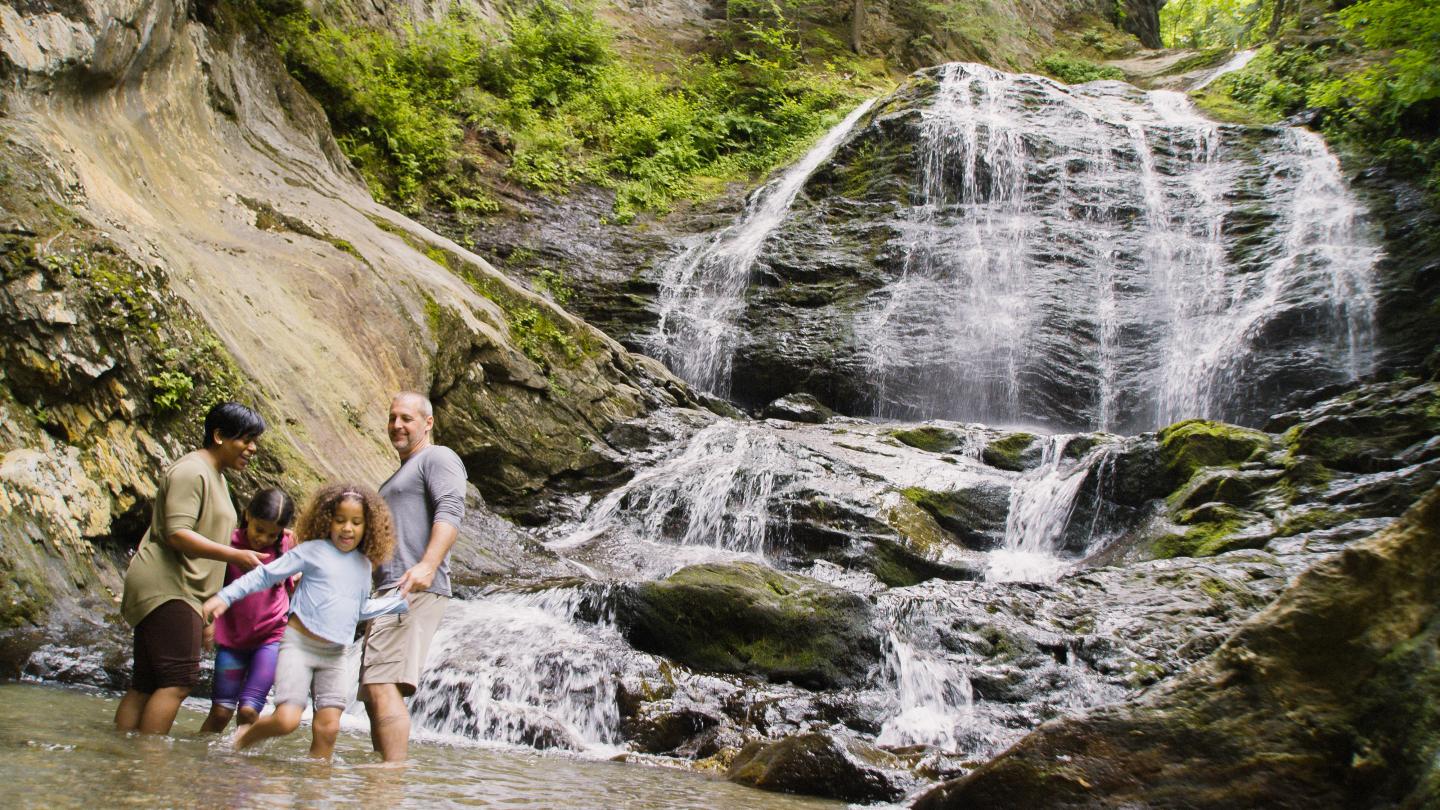 Family playing near a waterfall in a lush, green setting.