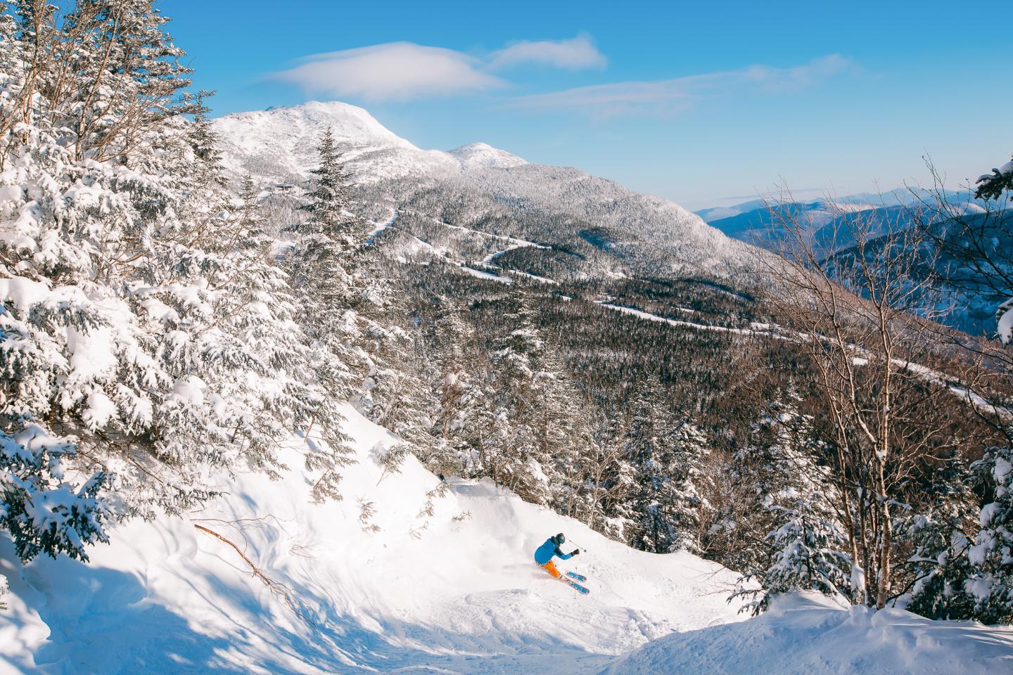 Skier descends a snowy mountain slope lined with snow-covered trees under a blue sky.