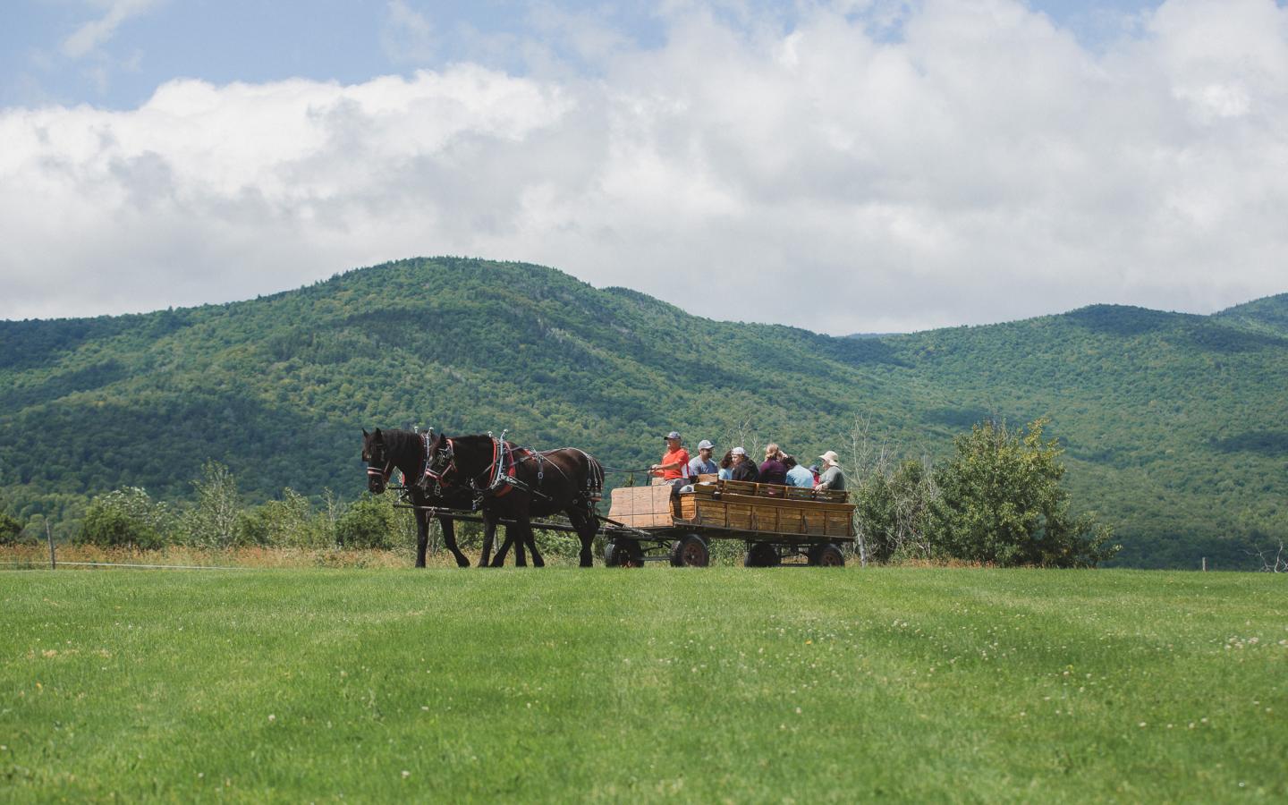 Horse-drawn wagon with people on grassy field, mountain backdrop.