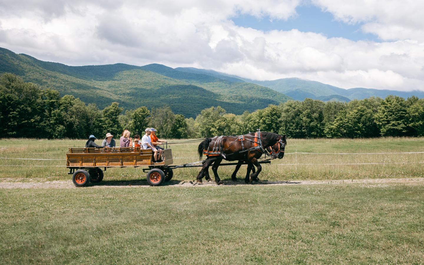 Horse-drawn wagon with people in a grassy field, mountains in background.