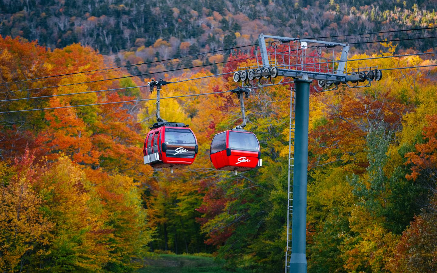 Red cable cars move through vibrant autumn foliage.