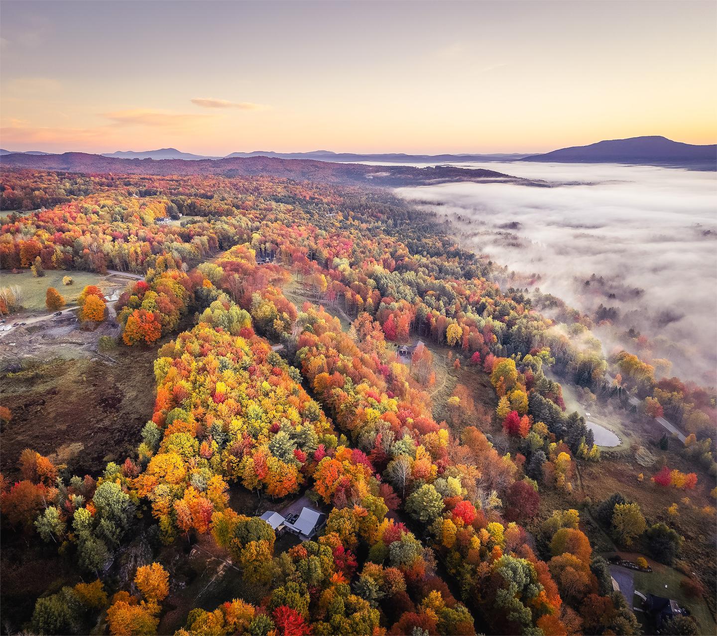 Autumn forest landscape with vibrant foliage and morning fog.