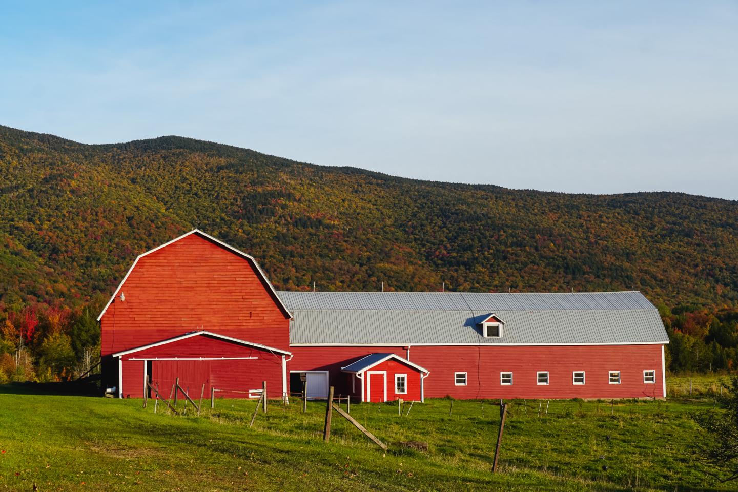 Red barn with a silver roof on a grassy field, mountains in the background.