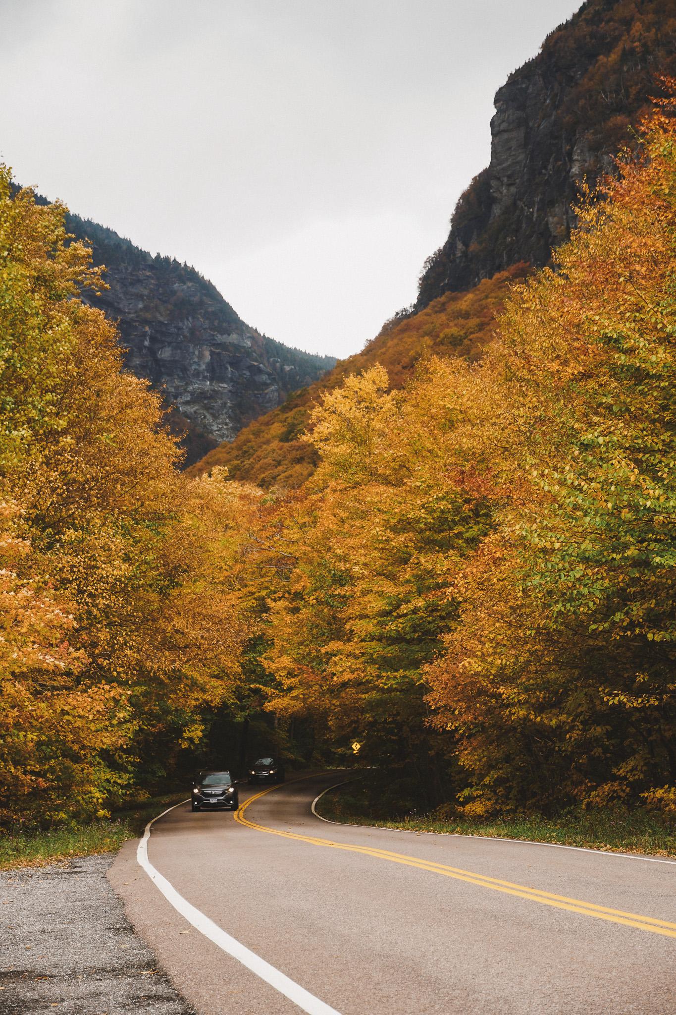 Curving road through vibrant autumn forest with mountains in background.