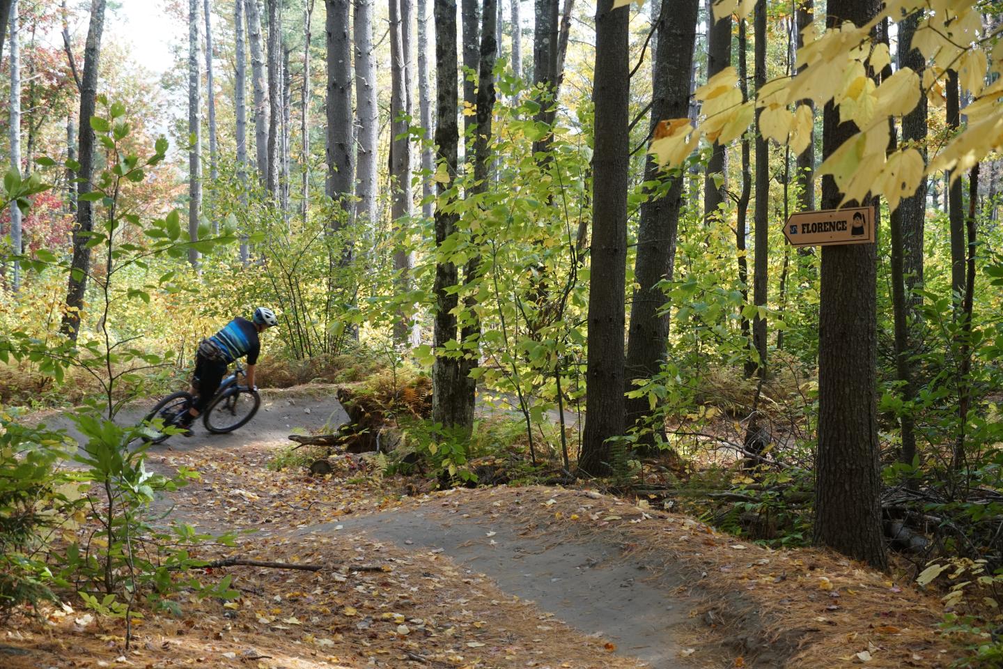 Cyclist navigating a wooded trail with autumn foliage.
