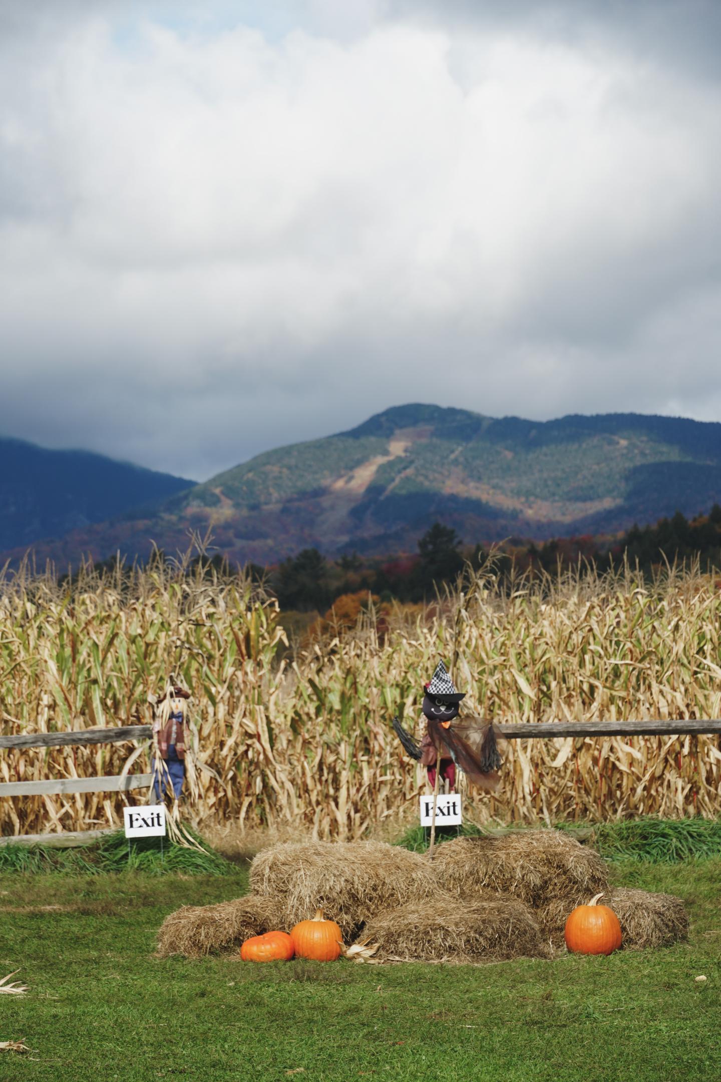 Autumn landscape with hay bales, pumpkins, and distant mountains.