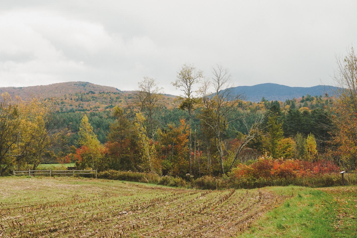Autumn landscape with trees, hills, and cloudy sky.